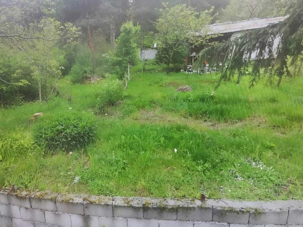 Парцел в с. Гълъбово, Област Пловдив - 1800 кв.м за 85 €/кв.м - Снимка #1