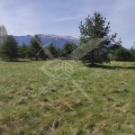 Парцел в с. Плана, Област София-град - 1500 кв.м за 35 €/кв.м - Снимка #1