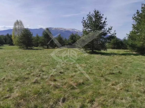 Парцел в с. Плана, Област София-град - 1500 кв.м за 35 €/кв.м - Снимка #1