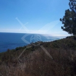 Парцел в Варна, Галата - 5333 кв.м за 19 €/кв.м - Снимка #1