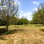 Къща в с. Горичане, Област Добрич - 80 кв.м за 153 €/кв.м - Снимка #1