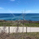 Парцел в к.к. Златни пясъци - 3490 кв.м за 61 €/кв.м - Снимка #1