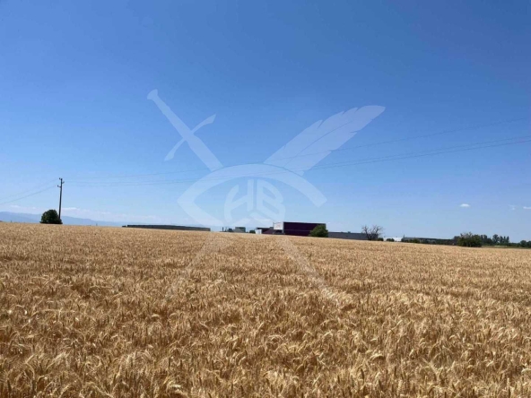 Парцел в с. Царацово, Област Пловдив - 2198 кв.м за 28 €/кв.м - Снимка #1