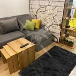 Дава се под наем Едностаен апартамент в София, Център - 52 кв.м за 747.66 € - Снимка #1