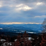 Парцел в с. Попрусевци, Област Велико Търново - 1200 кв.м за 8 €/кв.м - Снимка #1