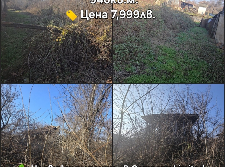 Парцел в с. Дружба, Област Видин - 940 кв.м за 5 €/кв.м - Снимка #1