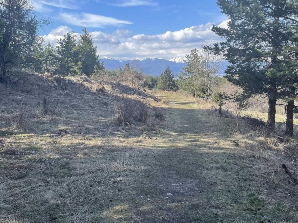 Земеделски имот в Банско -  кв.м за 20 €/дка - Снимка #1