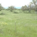 Земеделски имот в Карлово -  кв.м за 1 €/дка - Снимка #1