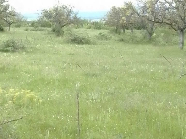 Земеделски имот в Карлово -  кв.м за 1 €/дка - Снимка #1