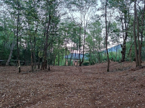 Парцел в Ботевград - 1293 кв.м за 49 €/кв.м - Снимка #1