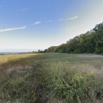 Парцел в с. Болярци, Област Варна - 743 кв.м за 16 €/кв.м - Снимка #1