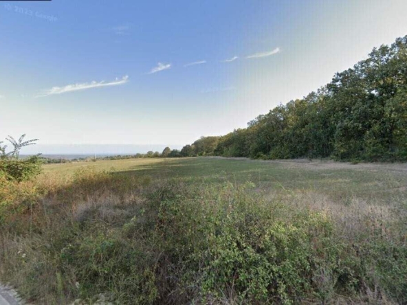 Парцел в с. Болярци, Област Варна - 743 кв.м за 31 €/кв.м - Снимка #1