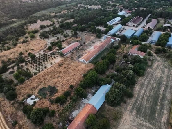 Промишлена сграда в Разград, Лудогорие - 70000 кв.м за 3 €/кв.м - Снимка #1