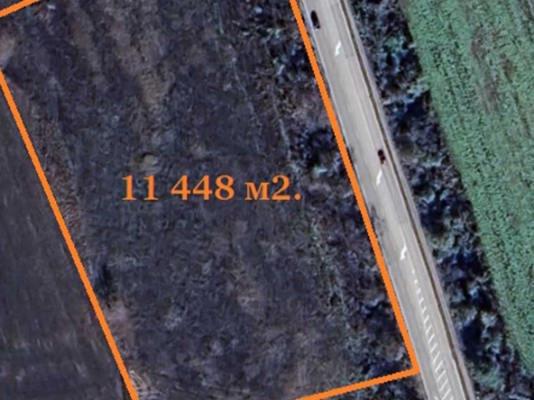 Парцел в Търговище, Център - 11448 кв.м за 15 €/кв.м - Снимка #1