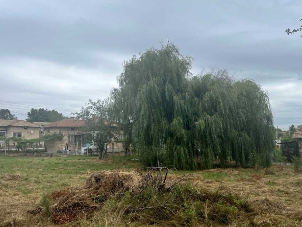 Къща в Търговище, Център - 80 кв.м за 574 €/кв.м - Снимка #1