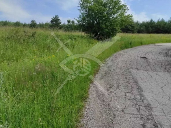 Парцел в с. Плана, Област София-град - 1499 кв.м за 32 €/кв.м - Снимка #1