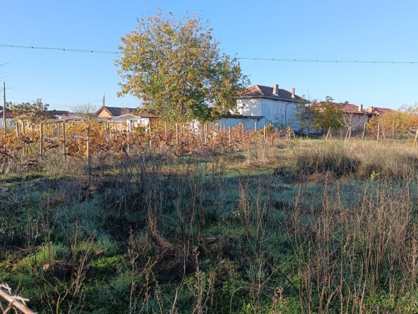 Парцел в с. Паничери, Област Пловдив - 900 кв.м за 6 €/кв.м - Снимка #1