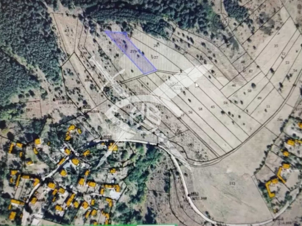 Парцел в с. Плана, Област София-град - 2037 кв.м за 22 €/кв.м - Снимка #1