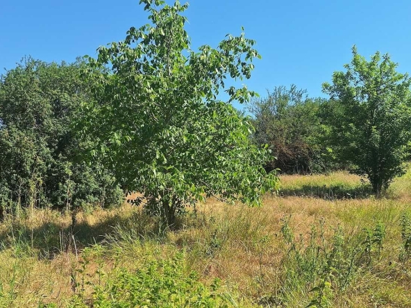 Къща в с. Войводино, Област Варна - 100 кв.м за 100 €/кв.м - Снимка #1