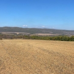 Земеделски имот в Дългопол -  кв.м за 1168 €/дка - Снимка #1