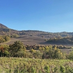 Земеделски имот в Варна, Автогара -  кв.м за 235 €/дка - Снимка #1