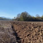 Земеделски имот в Варна, Автогара -  кв.м за 518 €/дка - Снимка #1