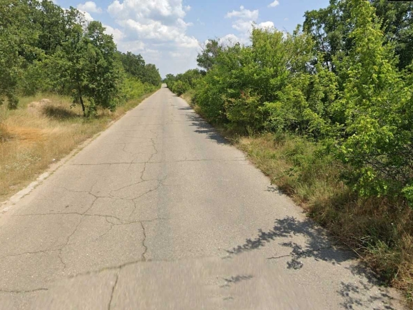 Парцел в с. Православ, Област Стара Загора - 6012 кв.м за 1 €/кв.м - Снимка #1