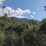 Парцел в Сапарева баня - 3150 кв.м за 57 €/кв.м - Снимка #1