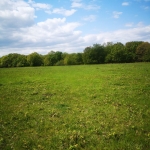 Земеделски имот в Ахтопол -  кв.м за 6 €/дка - Снимка #1