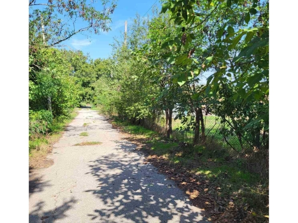 Парцел в с. Паскалево, Област Добрич - 960 кв.м за 22 €/кв.м - Снимка #1