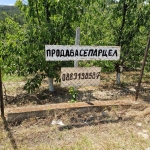 Парцел в Асеновград - 600 кв.м за 60 €/кв.м - Снимка #1