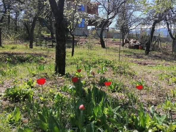 Парцел в София, Летище София - 478 кв.м за 150 €/кв.м - Снимка #1