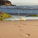 Парцел в Балчик - 3000 кв.м за 176 €/кв.м - Снимка #1