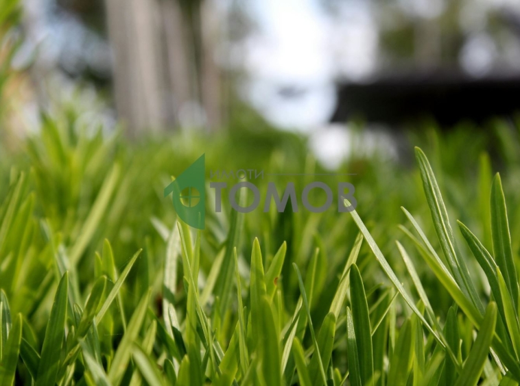 Парцел в Стара Загора, Казански - 1077 кв.м за 217 €/кв.м - Снимка #1