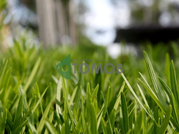 Парцел в с. Бяло поле, Област Стара Загора - 1960 кв.м за 2 €/кв.м - Снимка #1