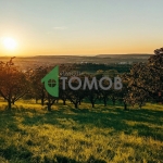 Земеделски имот в с. Тракия, Област Стара Загора -  кв.м за 1 €/дка - Снимка #1