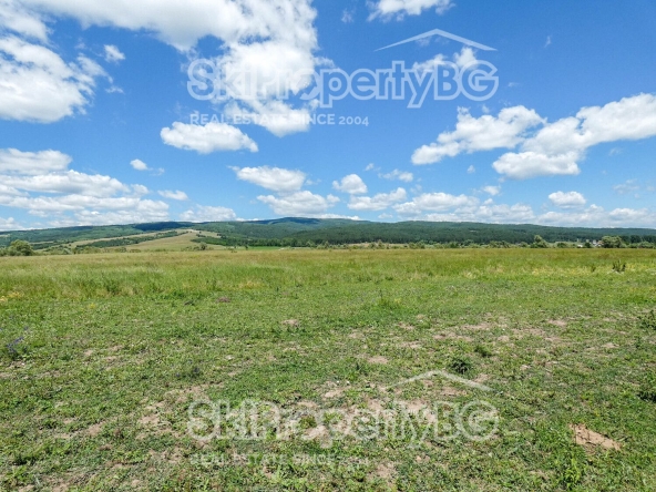 Парцел в с. Белчински бани, Област София-област - 3439 кв.м за 11 €/кв.м - Снимка #1