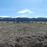 Парцел в с. Говедарци, Област София-област - 4842 кв.м за 21 €/кв.м - Снимка #1