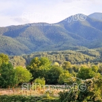 Едностаен апартамент в Банско - 40 кв.м за 913 €/кв.м - Снимка #1