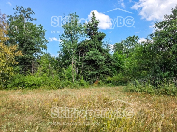 Парцел в Самоков - 16500 кв.м за 70 €/кв.м - Снимка #1