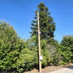 Къща в Алфатар - 70 кв.м за 110 €/кв.м - Снимка #1