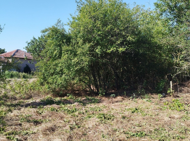 Парцел в Стара Загора, Самара 1 - 1250 кв.м за 5 €/кв.м - Снимка #1