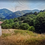 Парцел в с. Баните, Област Смолян - 720 кв.м за 15 €/кв.м - Снимка #1