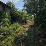 Парцел в с. Михилци, Област Пловдив - 1000 кв.м за 8 €/кв.м - Снимка #1