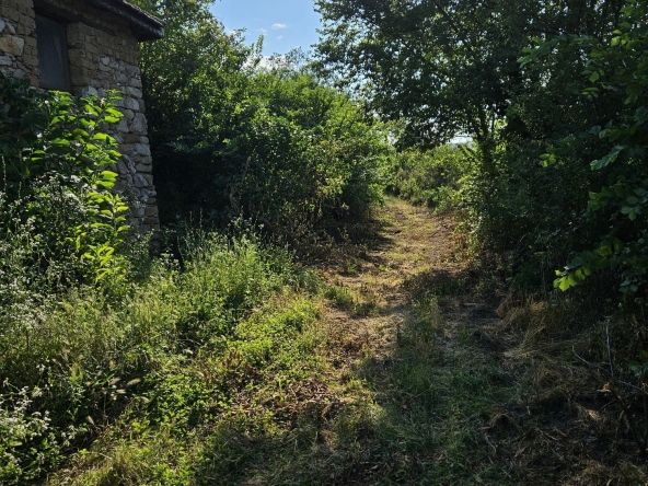 Парцел в с. Михилци, Област Пловдив - 1000 кв.м за 8 €/кв.м - Снимка #1
