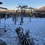 Къща в Разград, Житница - 154 кв.м за 994 €/кв.м - Снимка #1