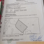 Земеделски имот в Кюстендил, Център -  кв.м за 399 €/дка - Снимка #1