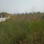 Парцел в Варна, Военна болница - 3020 кв.м за 41 €/кв.м - Снимка #1