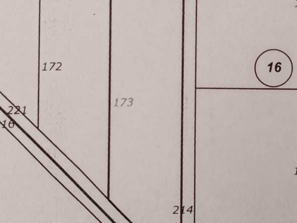 Парцел в с. Маноле, Област Пловдив - 3996 кв.м за 32 €/кв.м - Снимка #1
