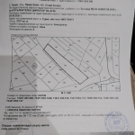 Парцел в с. Турия, Област Стара Загора - 2757 кв.м за 6 €/кв.м - Снимка #1